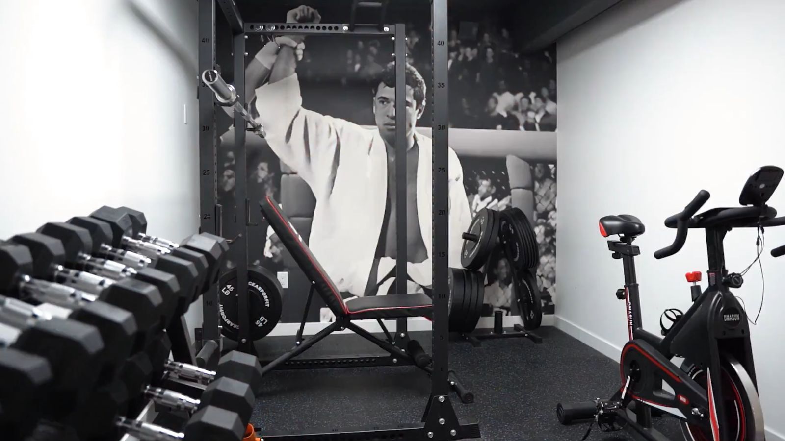 Van Isle BJJ weight room with mural